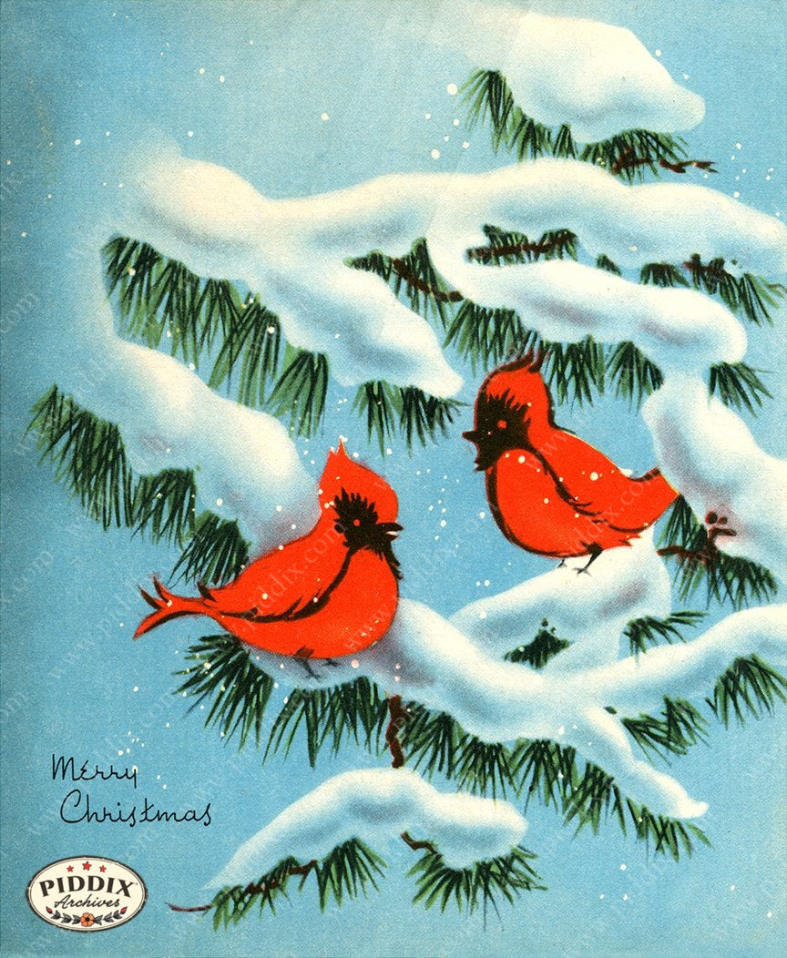 PDXC19175b -- Christmas Birds Color Illustration
