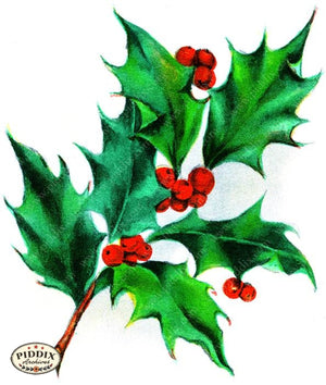PDXC19197a -- Christmas Greens Color Illustration