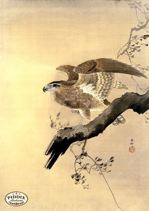 PDXC19510 -- Japanese Hawk Woodblock