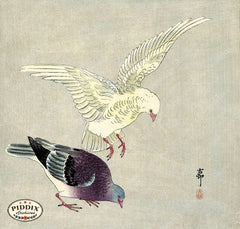 pdxc19528-japanese-birds-