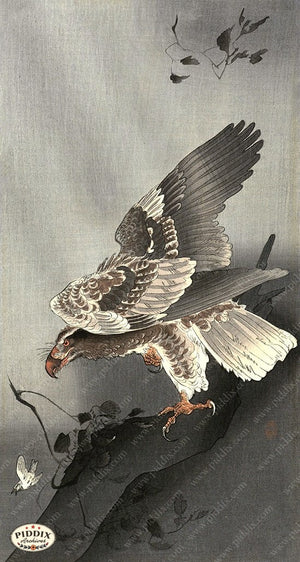 PDXC19532 -- Japanese Hawk Woodblock