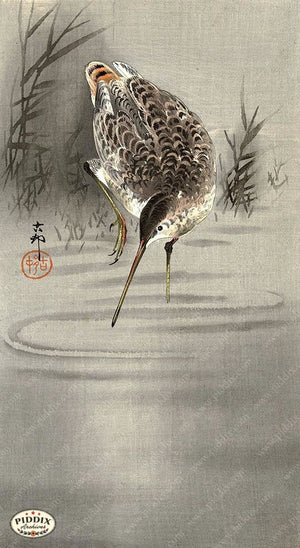 PDXC19537-- Japanese Bird Woodblock