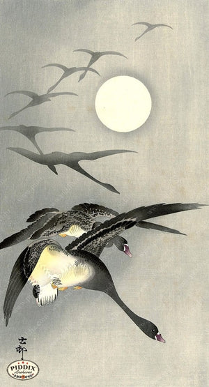 PDXC19538-- Japanese Birds and Moon Woodblock