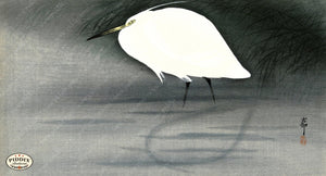 PDXC19541-- Japanese Bird Woodblock