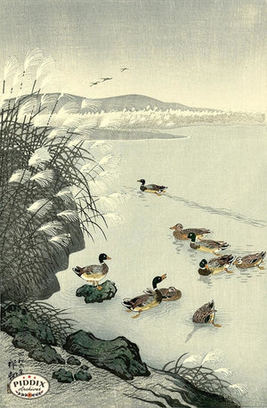 PDXC19543-- Japanese Ducks and Grass Woodblock