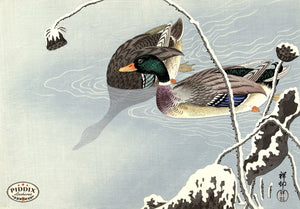 PDXC19547-- Japanese Ducks and Grass Woodblock