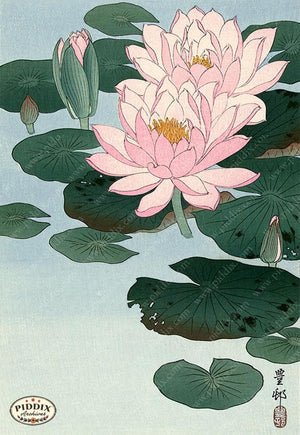 PDXC19550 -- Japanese Water Lily Woodblock
