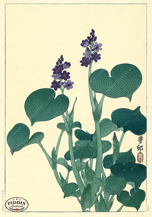 PDXC19551 -- Japanese Flowers and Leaves Woodblock
