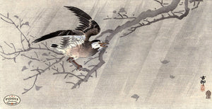 PDXC19559-- Japanese Bird and Branch Woodblock