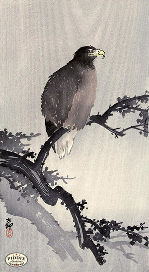 PDXC19568-- Japanese Eagle and Branch Woodblock