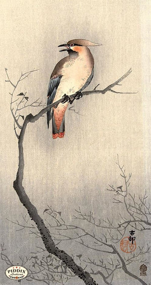 PDXC19572 -- Japanese Bird and Branch Woodblock