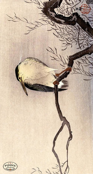 PDXC19575-- Japanese Bird and Branch Woodblock