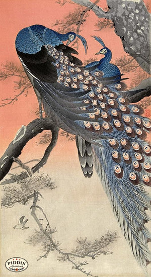 PDXC19577 -- Japanese Peacocks Woodblock