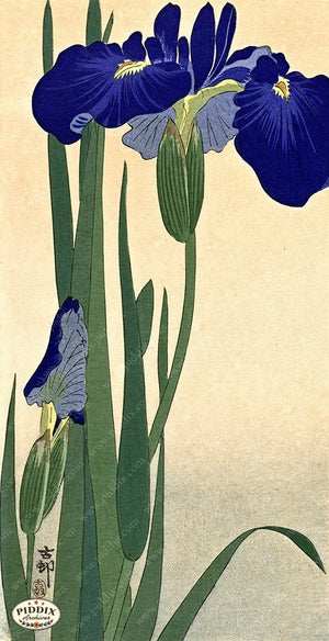 PDXC19586 -- Japanese Iris Flowers Woodblock