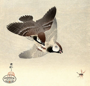 PDXC19592 -- Japanese Birds and Bee Woodblock