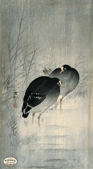 PDXC19617 -- Japanese Birds and Grass Woodblock