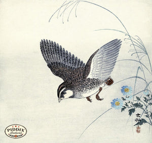 PDXC19620 -- Japanese Bird and Flowers Woodblock