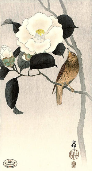 PDXC19625 -- Japanese Bird and Flower Woodblock