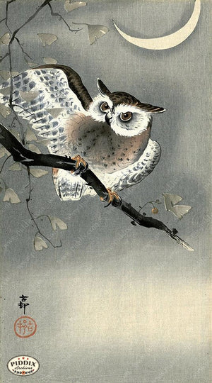 PDXC19629-- Japanese Owl and Moon Woodblock