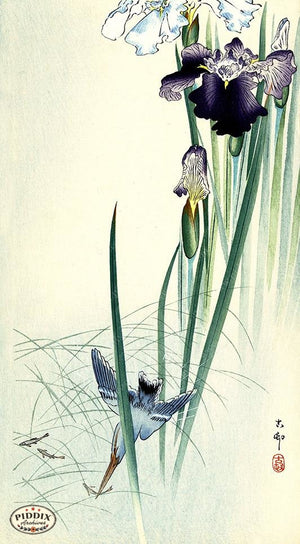 PDXC19634 -- Japanese Bird and Flower Woodblock