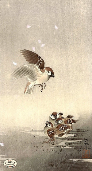 PDXC19645-- Japanese Birds Woodblock