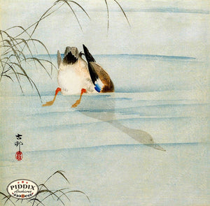 PDXC19649-- Japanese Duck in Water Woodblock