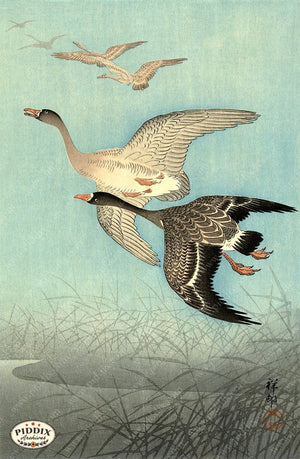 PDXC19655-- Japanese Geese Woodblock