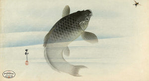 PDXC19663 -- Japanese Fish Woodblock