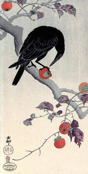 PDXC19669 -- Japanese Raven and Persimmons Woodblock