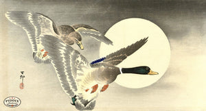 PDXC19680 -- Japanese Ducks and Moon Woodblock