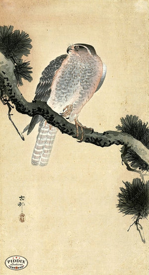 PDXC19687 -- Japanese Bird Woodblock