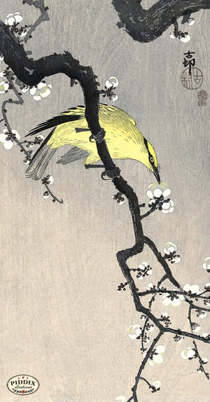 PDXC19692 -- Japanese Bird and Flowers Woodblock
