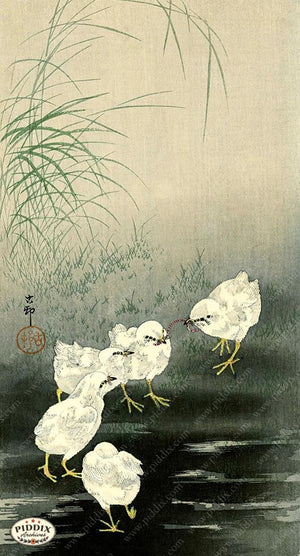 PDXC19699 -- Japanese Birds Woodblock