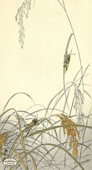 PDXC19704 -- Japanese Grasshoppers Woodblock