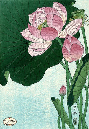 PDXC19711 -- Japanese Lotus Flower Woodblock