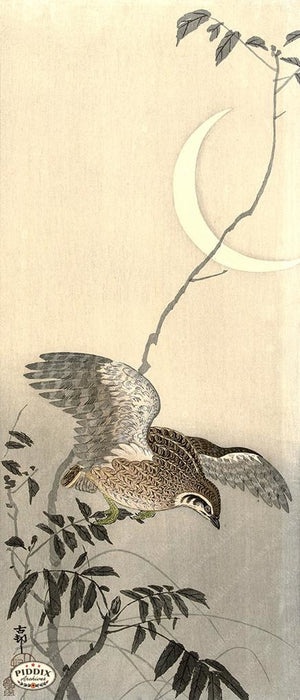 PDXC19733 -- Japanese Bird and Moon Woodblock