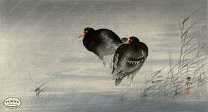 PDXC19752 -- Japanese Birds and Water Woodblock