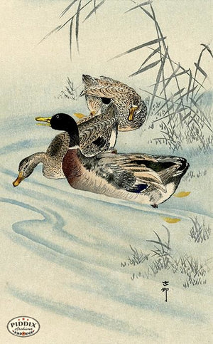 PDXC19754 -- Japanese Ducks and Water Woodblock