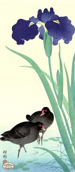 PDXC19779 -- Japanese Birds and Flowers - piddix