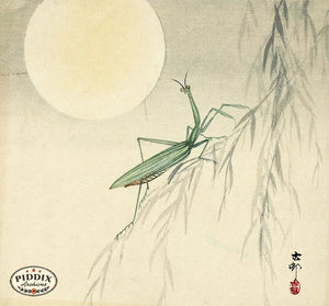 PDXC19788 -- Japanese Praying Mantis and Moon Woodblock