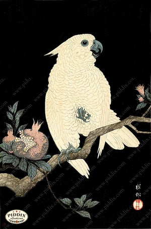 PDXC19793-- Japanese Cockatoo and Pomegranate Woodblock