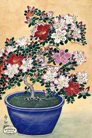 PDXC19796-- Japanese Flowering Bonsai Woodblock