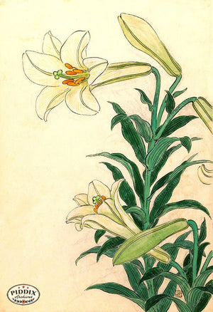 PDXC19797-- Japanese Lily Woodblock