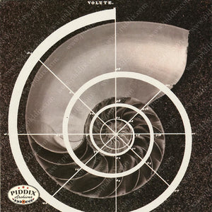 PDXC20101a -- Eames Color Illustration