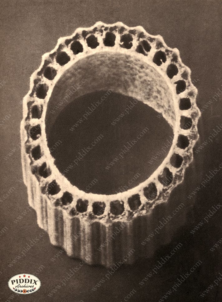 Pdxc20169 -- Macro Sepia Plant Ring Color Illustration