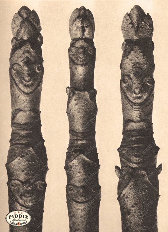 Pdxc20178 -- Macro Sepia Tree Twig Color Illustration