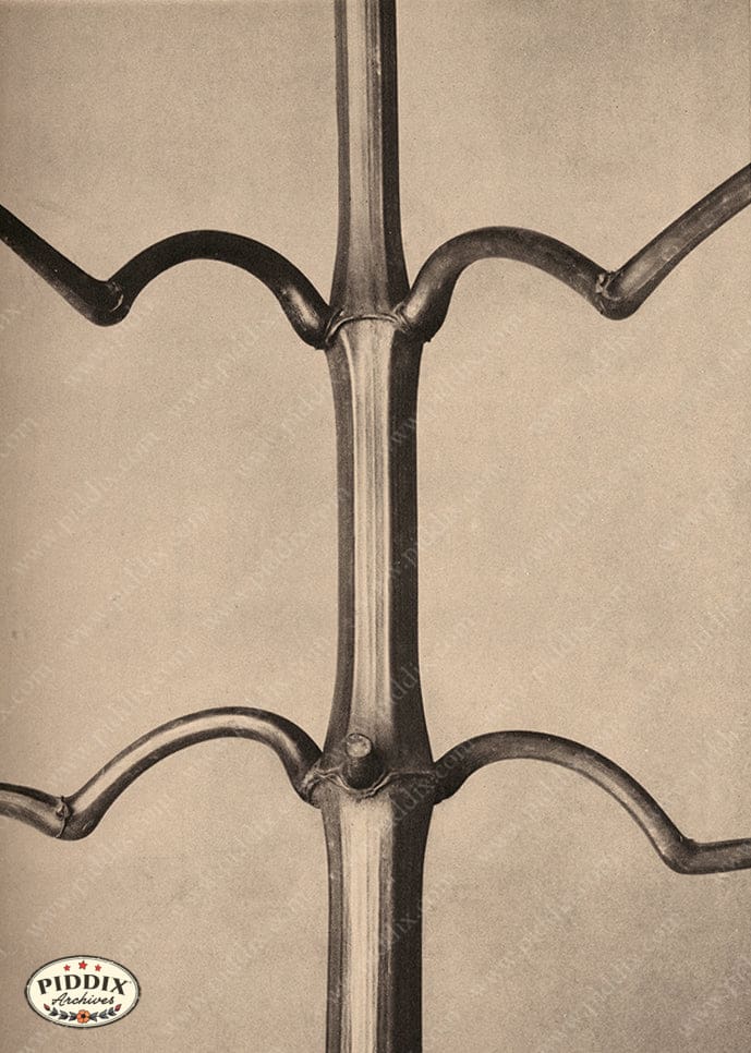 Pdxc20184 -- Macro Sepia Tree Branch Color Illustration