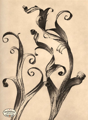 Pdxc20209 -- Macro Sepia Leaves Color Illustration
