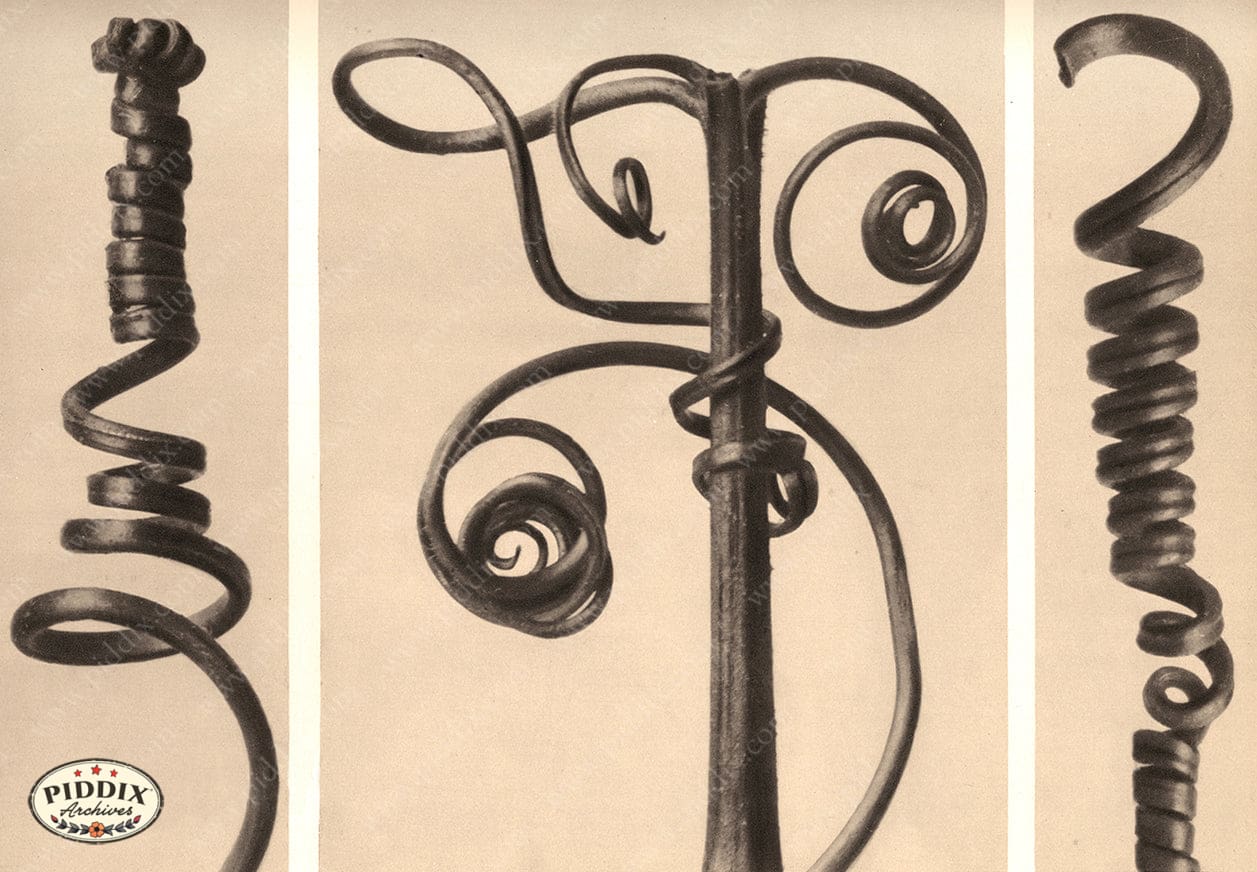 Pdxc20217 -- Macro Sepia Plant Spirals Color Illustration