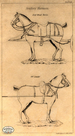 Pdxc21039 -- Horse Harness Drawing Original Art